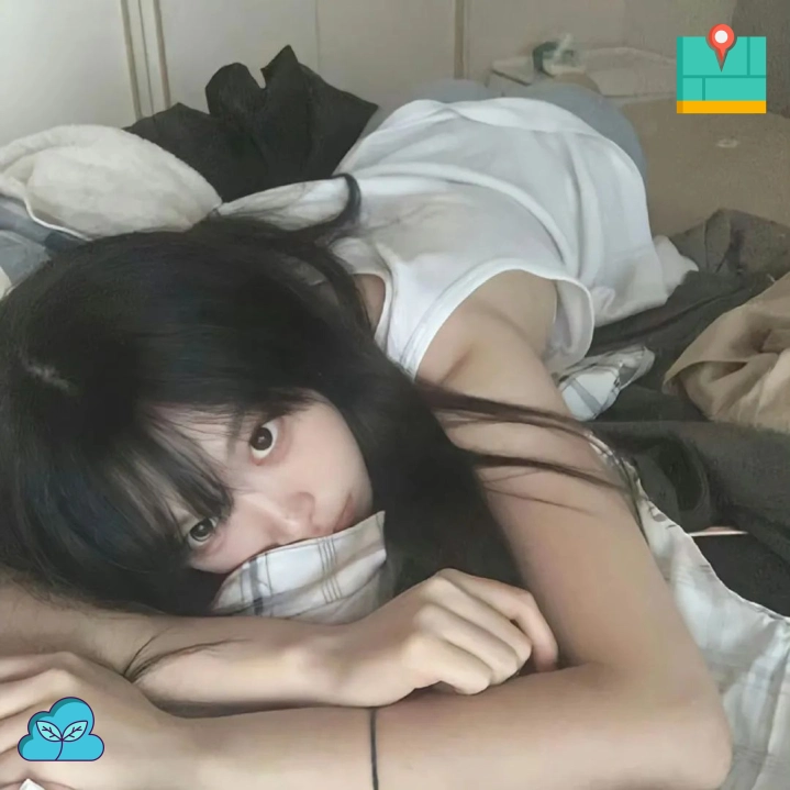 北城旧梦